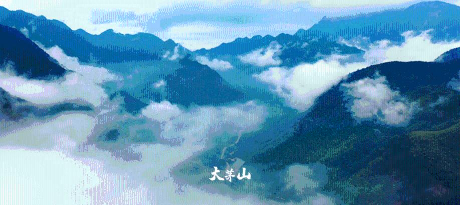 黄色小人推箱子