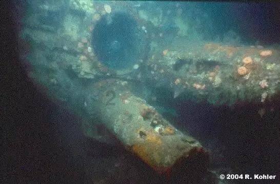 全民烧脑3去广告版